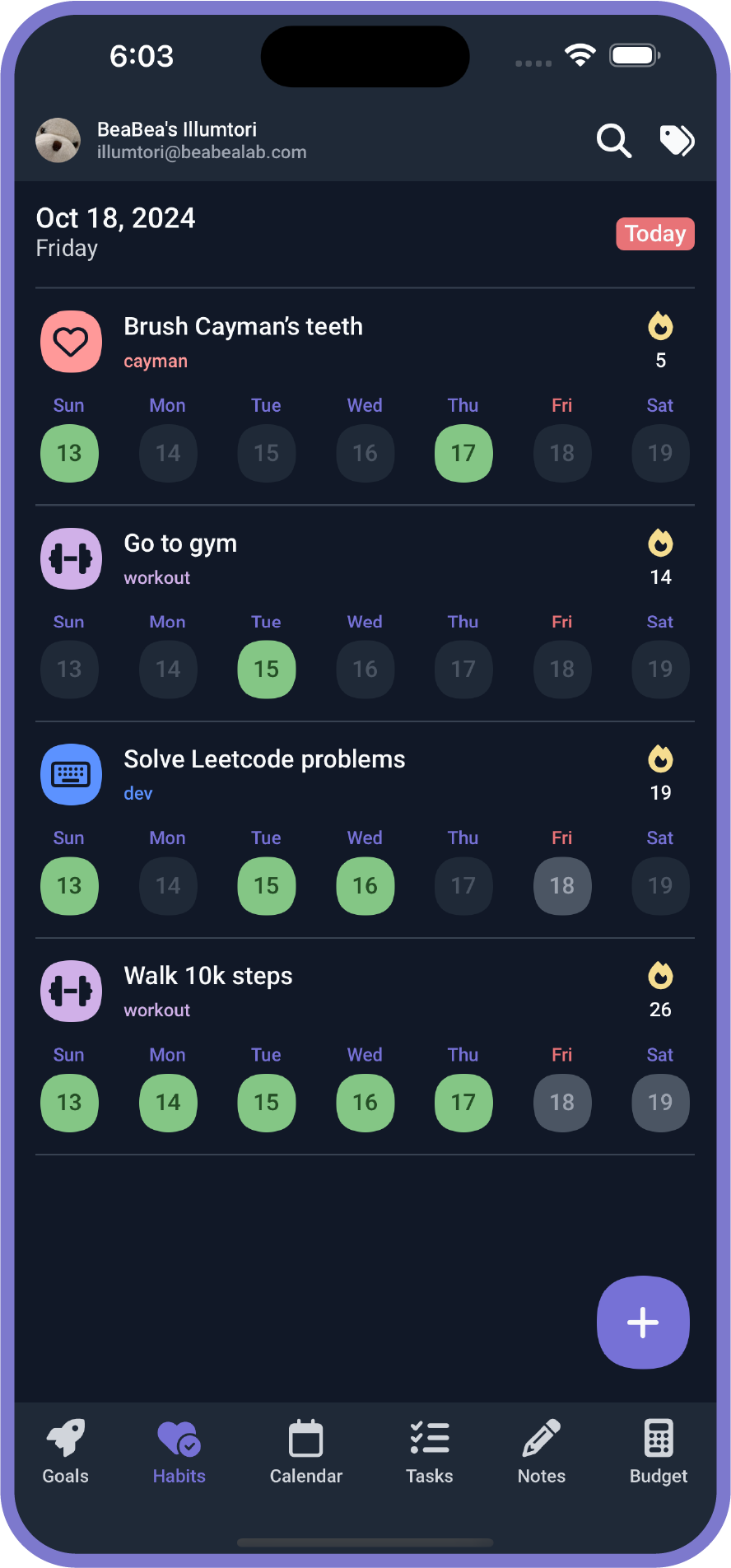 Screenshot of Habits on mobile